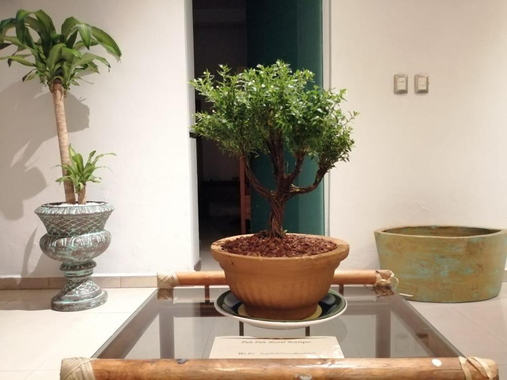 Pule Pule Hostal Boutique Guadalajara Luaran gambar